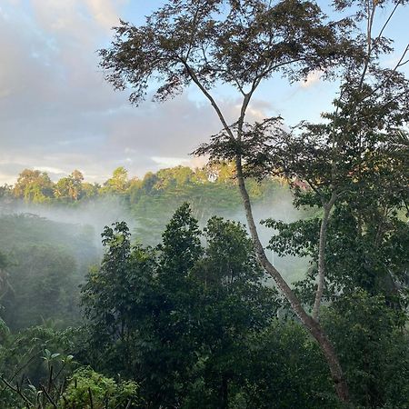 D'Tepi Ubud House Kültér fotó