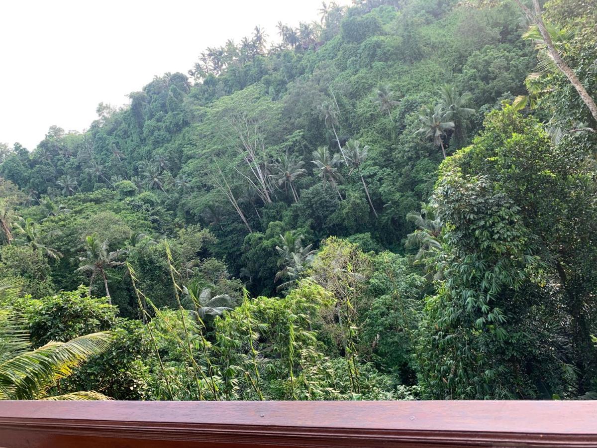 D'Tepi Ubud House Kültér fotó