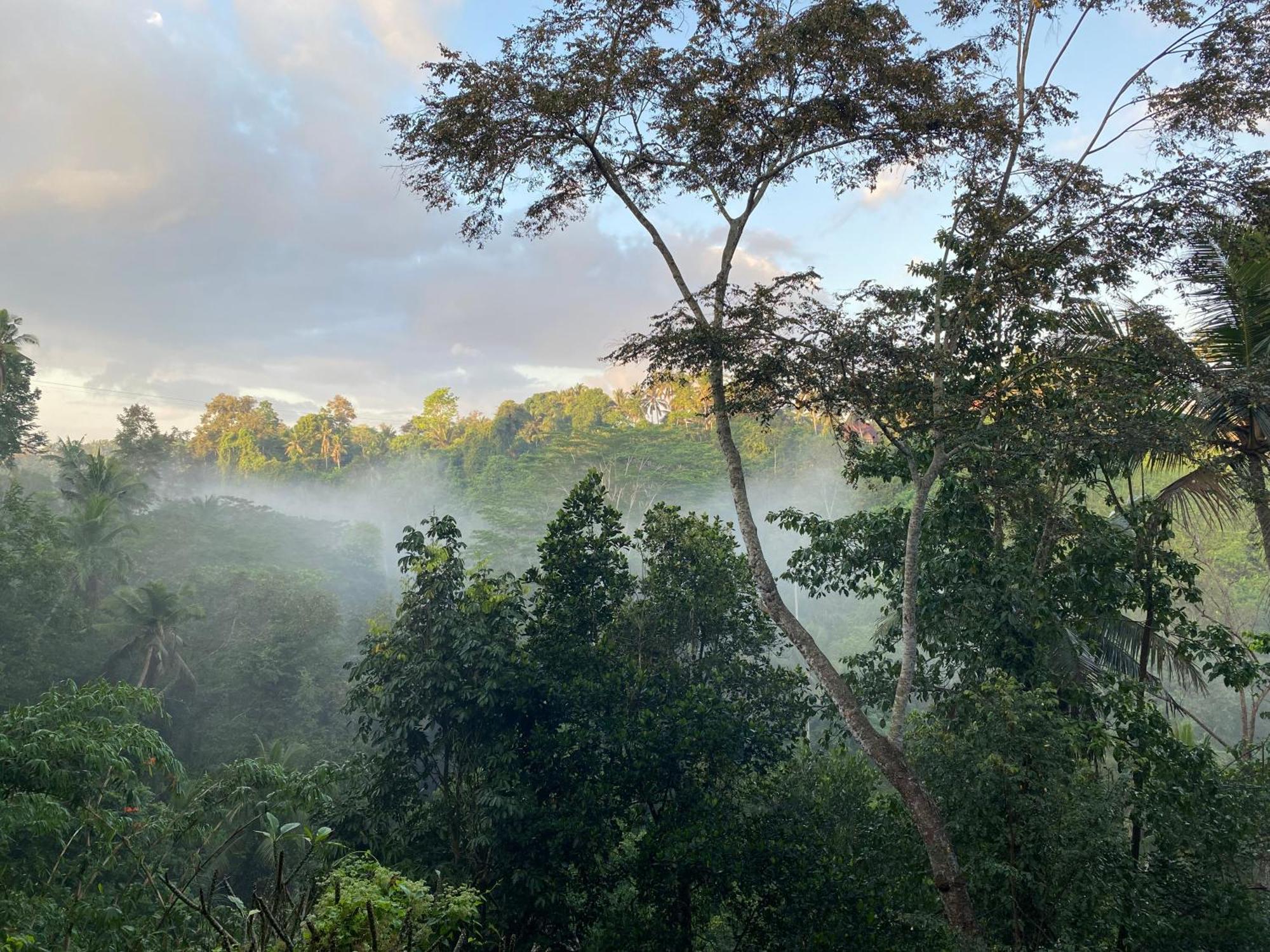 D'Tepi Ubud House Kültér fotó